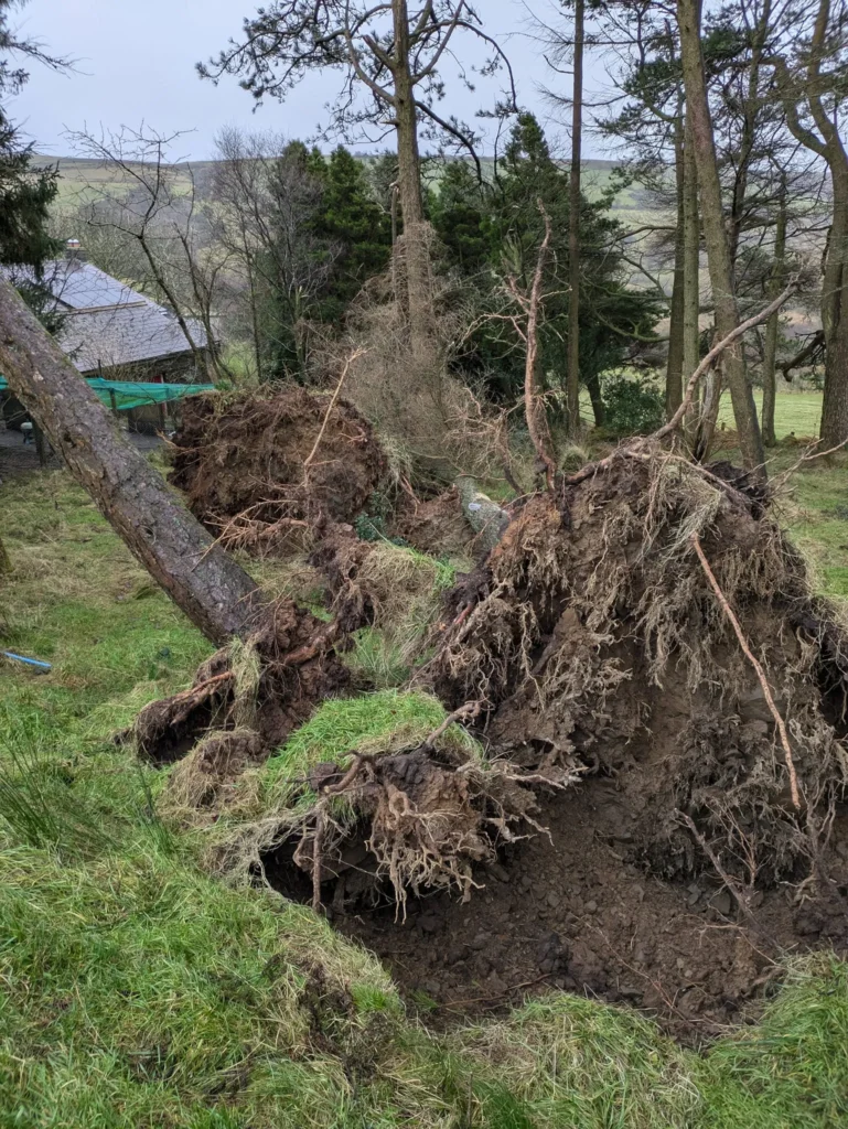 Damage from sotrm darrgh in Swansead